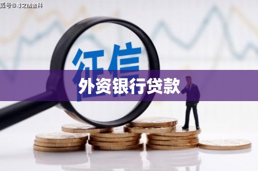 罗江外资银行贷款