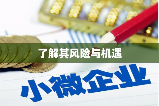 罗江了解其风险与机遇