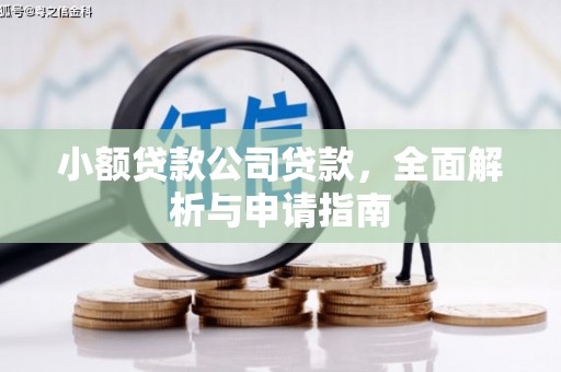 罗江小额贷款公司贷款，全面解析与申请指南