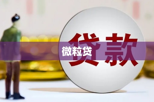 罗江微粒贷