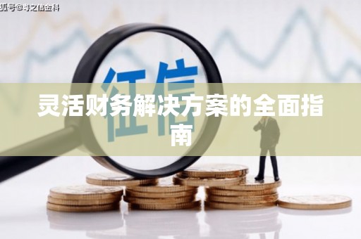 罗江灵活财务解决方案的全面指南