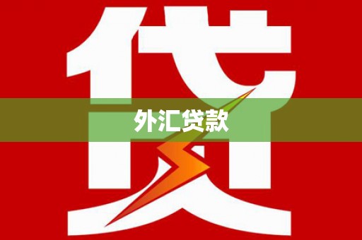 罗江外汇贷款