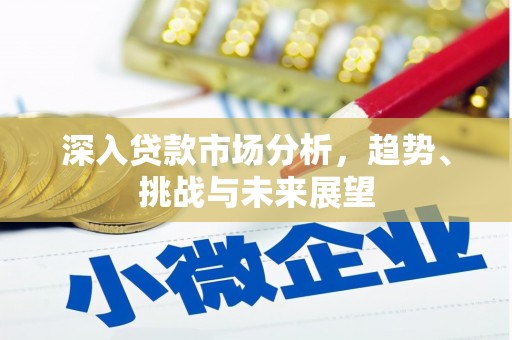 罗江深入贷款市场分析，趋势、挑战与未来展望