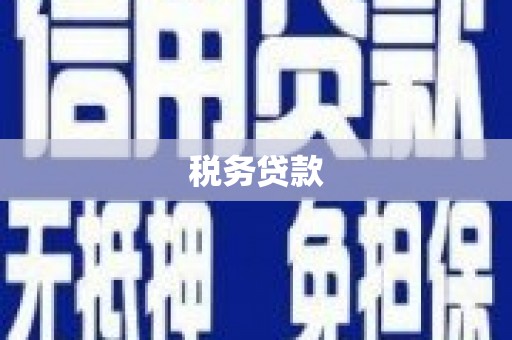 罗江税务贷款