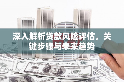 罗江深入解析贷款风险评估，关键步骤与未来趋势