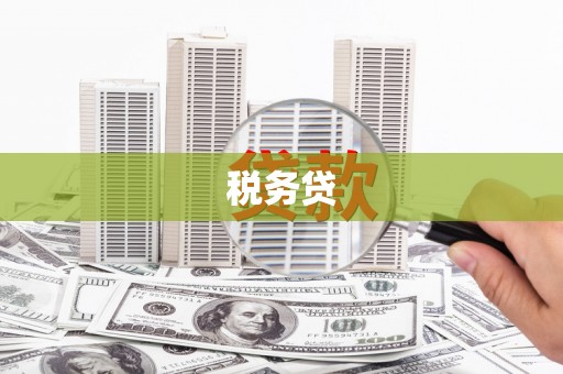 罗江税务贷