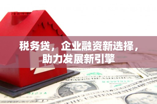 罗江税务贷，企业融资新选择，助力发展新引擎