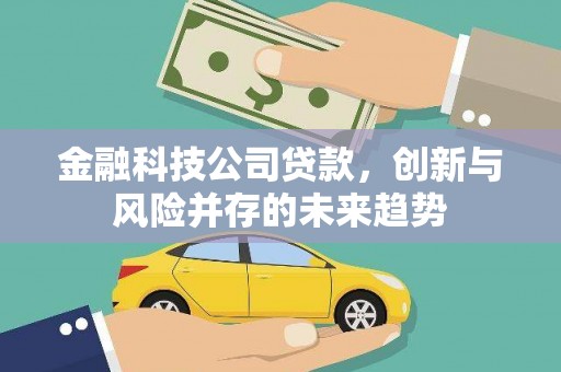 罗江金融科技公司贷款，创新与风险并存的未来趋势