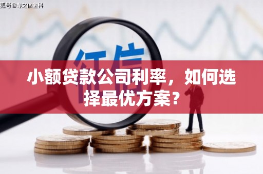 罗江小额贷款公司利率，如何选择最优方案？