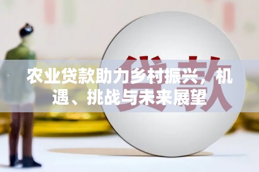 罗江农业贷款助力乡村振兴，机遇、挑战与未来展望
