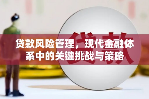 罗江贷款风险管理，现代金融体系中的关键挑战与策略