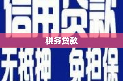 罗江税务贷款