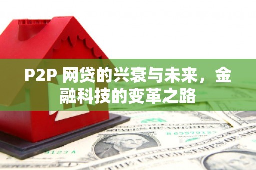 罗江P2P 网贷的兴衰与未来，金融科技的变革之路