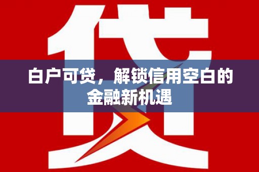 罗江白户可贷，解锁信用空白的金融新机遇