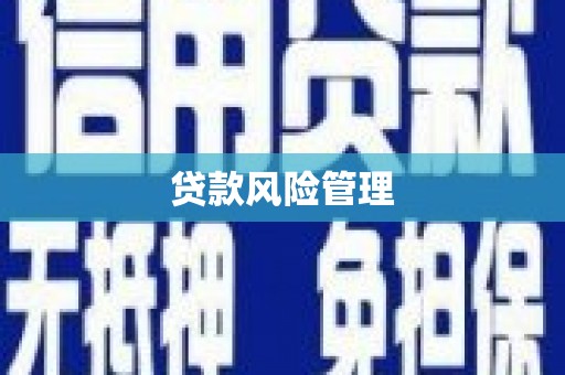 罗江贷款风险管理
