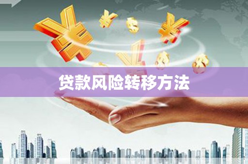 罗江贷款风险转移方法