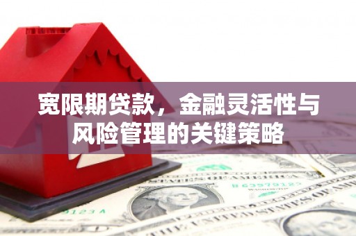 罗江宽限期贷款，金融灵活性与风险管理的关键策略