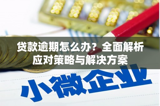 罗江贷款逾期怎么办？全面解析应对策略与解决方案