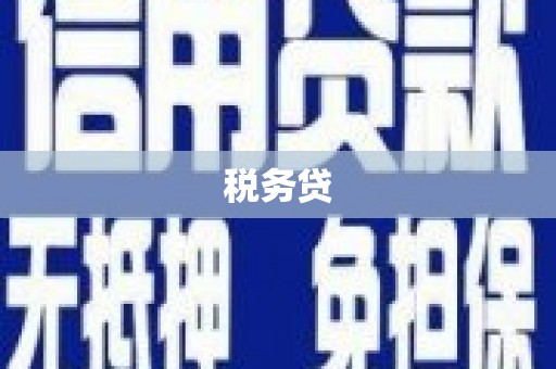 罗江税务贷