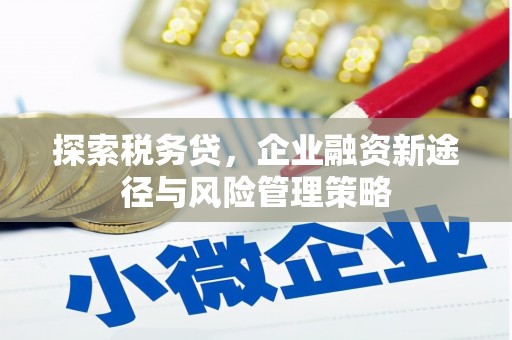 罗江探索税务贷，企业融资新途径与风险管理策略