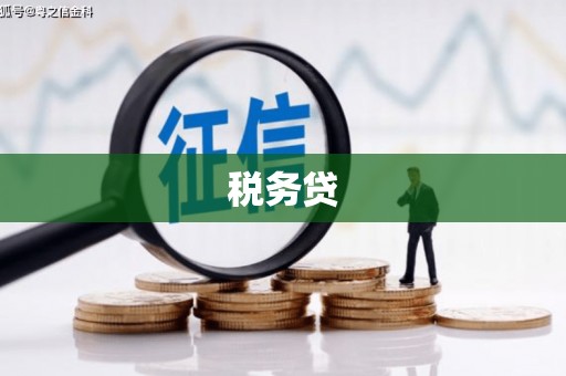 罗江税务贷