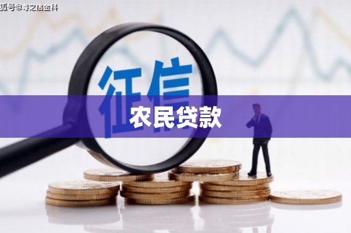 罗江农民贷款