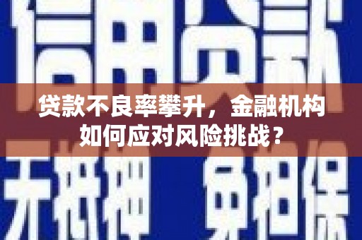 罗江贷款不良率攀升，金融机构如何应对风险挑战？