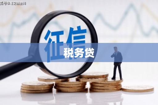 罗江税务贷