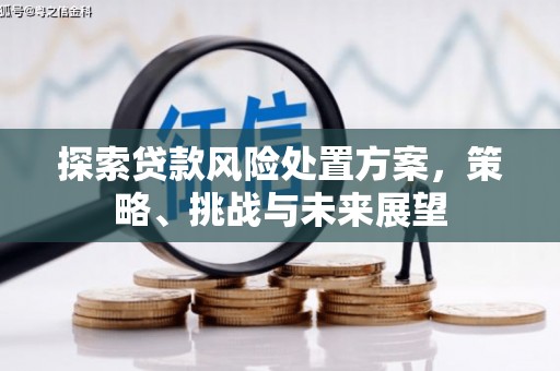 罗江探索贷款风险处置方案，策略、挑战与未来展望