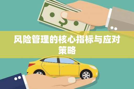 罗江风险管理的核心指标与应对策略