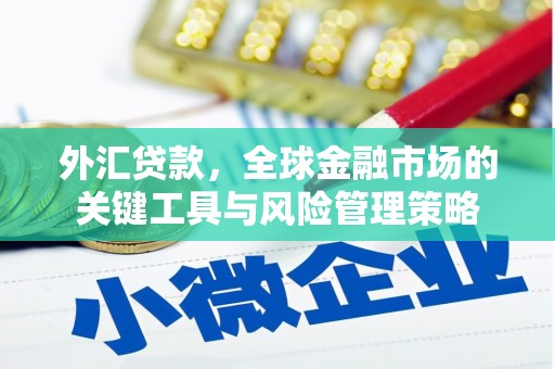 罗江外汇贷款，全球金融市场的关键工具与风险管理策略