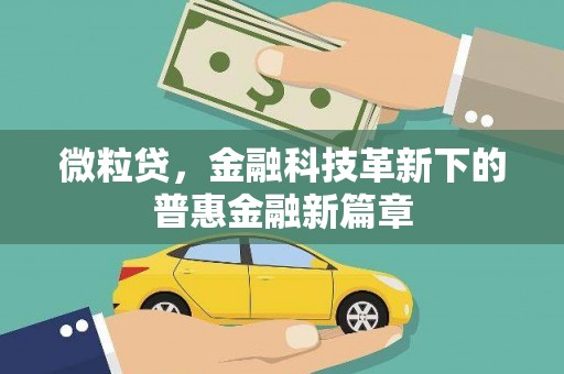 罗江微粒贷，金融科技革新下的普惠金融新篇章