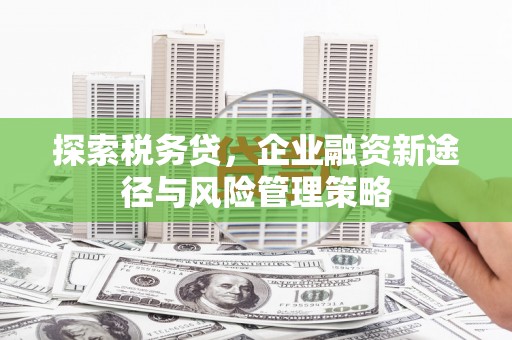 罗江探索税务贷，企业融资新途径与风险管理策略