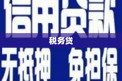 罗江税务贷