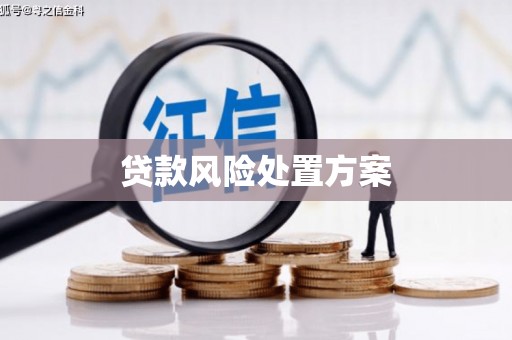 罗江贷款风险处置方案