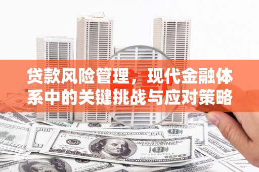 罗江贷款风险管理，现代金融体系中的关键挑战与应对策略