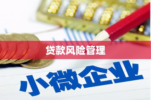 罗江贷款风险管理