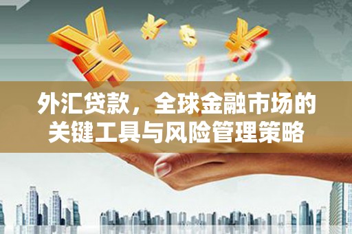 罗江外汇贷款，全球金融市场的关键工具与风险管理策略