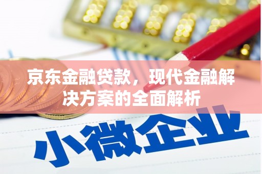 罗江京东金融贷款，现代金融解决方案的全面解析
