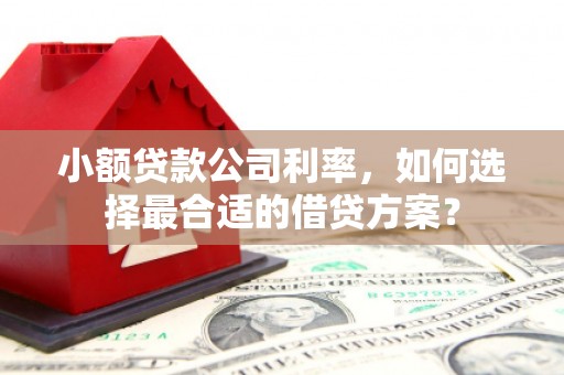 罗江小额贷款公司利率，如何选择最合适的借贷方案？