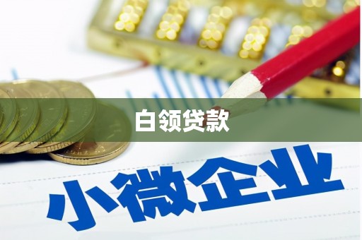 罗江白领贷款