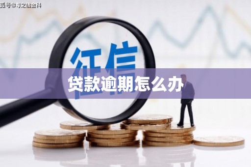 罗江贷款逾期怎么办