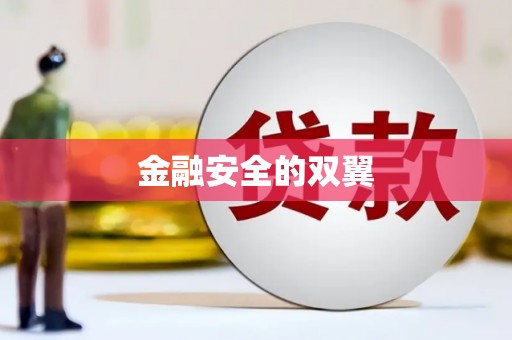 罗江金融安全的双翼