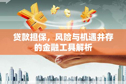 罗江贷款担保，风险与机遇并存的金融工具解析